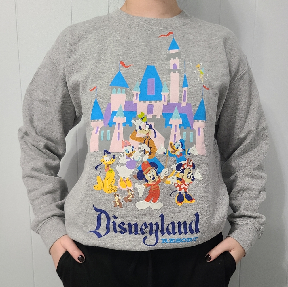 Disney Gray Disneyland Castle & Classic Characters Pullover Sweatshirt